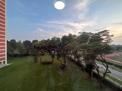 Neptune Court (D15), Apartment #506414841